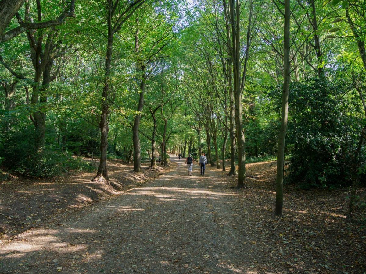 Bright West Hampstead Retreat Apartman London Kültér fotó